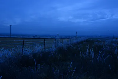 DSC_1100 (Large).JPG